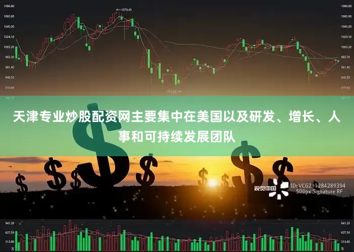 天津专业炒股配资网主要集中在美国以及研发、增长、人事和可持续发展团队
