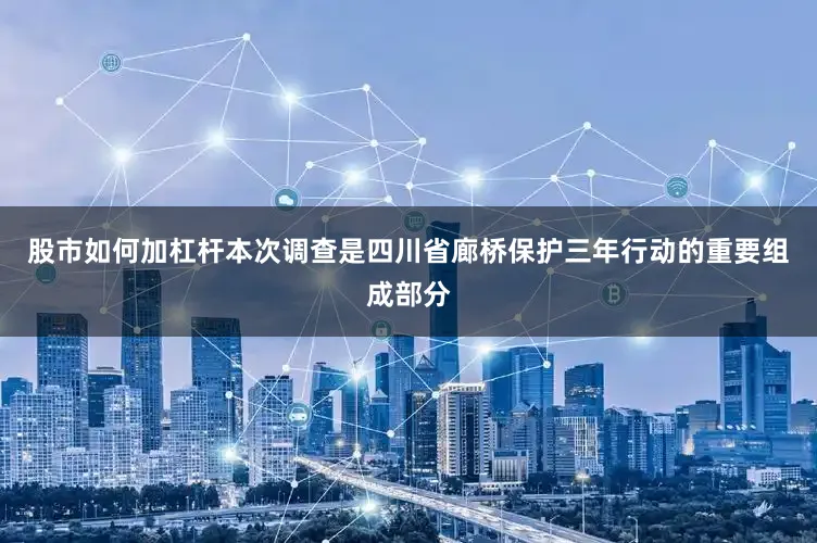 股市如何加杠杆本次调查是四川省廊桥保护三年行动的重要组成部分