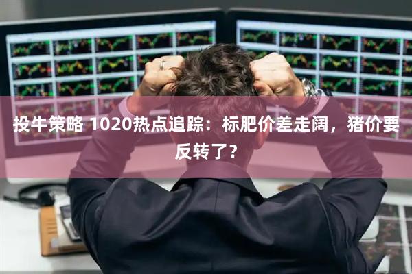 投牛策略 1020热点追踪：标肥价差走阔，猪价要反转了？