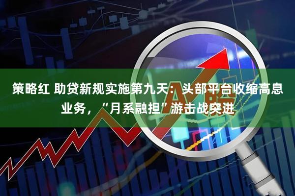 策略红 助贷新规实施第九天：头部平台收缩高息业务，“月系融担”游击战突进