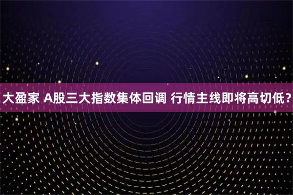 大盈家 A股三大指数集体回调 行情主线即将高切低？