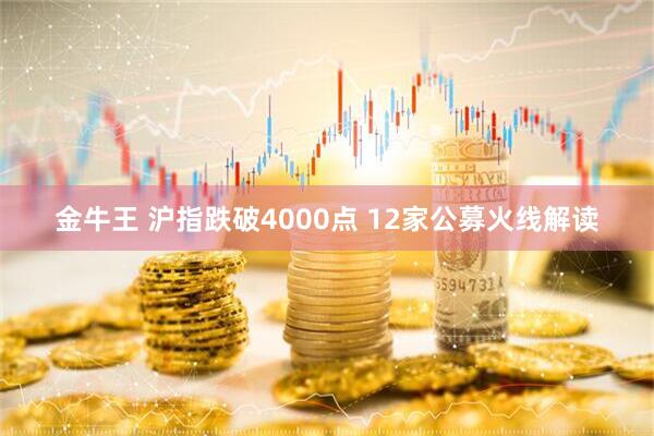 金牛王 沪指跌破4000点 12家公募火线解读