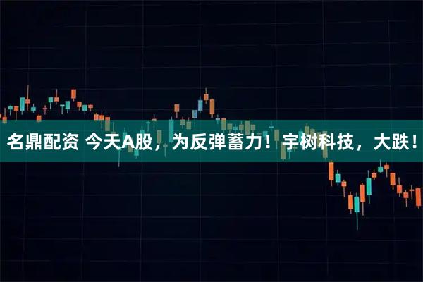 名鼎配资 今天A股，为反弹蓄力！宇树科技，大跌！